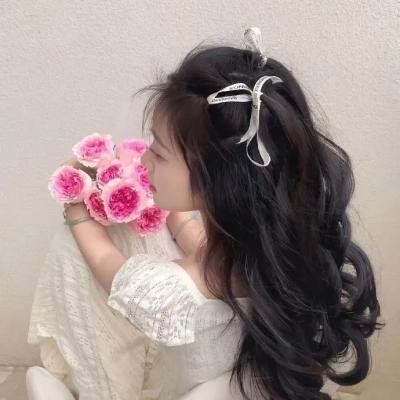 盗贼泰瑞莎